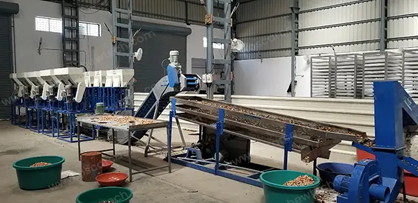 Cashew Nut Processing Machine Manufacturers in Gujarat