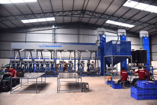 Raw Cashew Processing Machine 